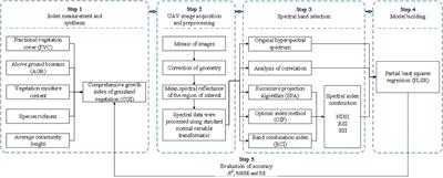 Comprehensive growth index monitoring of desert steppe grassland vegetation based on UAV hyperspectral